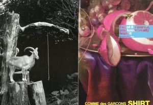 「WERK No.8 COMME des GARCONS SHIRT【AUTUMN/WINTER 2003/04 In collaboration with COMMe des GARCONS 】 / Edit, Design:Theseus Chan　Art director: Marina Lim 」画像2