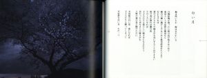 「花の町 / 写真：荒木経惟　詩：田村隆一」画像1