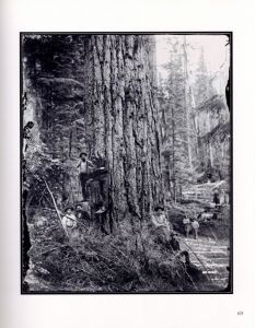 「森へ　ダリウス・キンゼイ写真集 / 写真：ダリウス・キンゼイ　著：デイヴ・ボーン、ロドルフォ・ペチェック」画像7