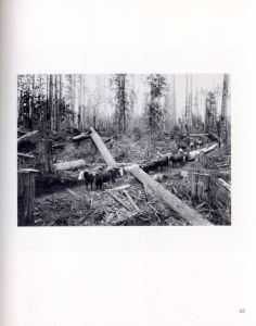 「森へ　ダリウス・キンゼイ写真集 / 写真：ダリウス・キンゼイ　著：デイヴ・ボーン、ロドルフォ・ペチェック」画像4