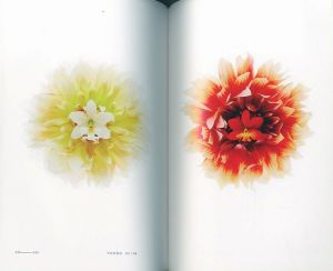 「ENCYCLOPEDIA OF FLOWERS III　植物図鑑 / 著：東信、椎木俊介」画像2