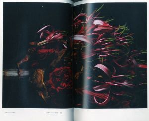 「ENCYCLOPEDIA OF FLOWERS III　植物図鑑 / 著：東信、椎木俊介」画像1
