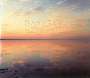 BAY / SKYのサムネール