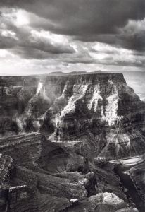 「GENESIS / Sebastião Salgado」画像6