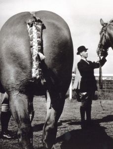 「Brassai Paris 1899-1984 / Brassai」画像3