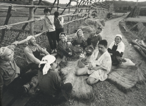 「鎌鼬 完全復刻版 / 写真：細江英公　舞踏：土方巽　序文：瀧口修造　装丁：田中一光」画像10