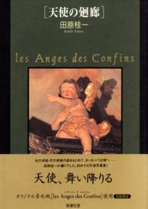 天使の廻廊／写真・文：田原桂一（les Anges des Confins／Photo, Text: Keiichi Tahara )のサムネール