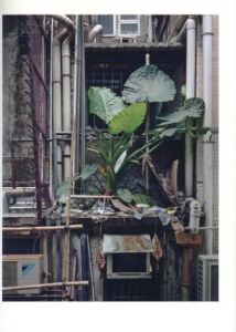 「HONG KONG FLORA / Michael Wolf 」画像3