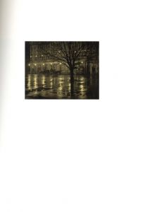 「ALFRED STIEGLITZ: PHOTOGRAPHS & WRITINGS / Alfred Stieglitz」画像4