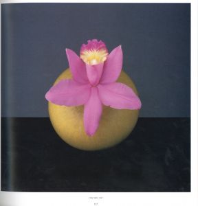 「PISTILS / Robert Mapplethorpe」画像3