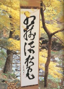 「野に遊ぶ魯山人　四季のうつわ / 梶川芳友、稲越 功一」画像5