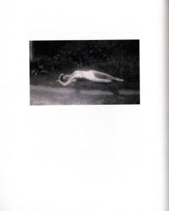 「Dive Dark Dream Slow / Photo: Peter J. Cohen　Edit: Melissa Catanese」画像2