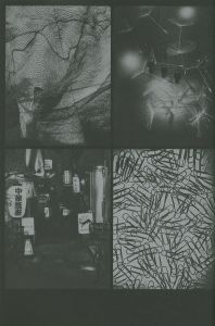 「DAIDO TOKYO / Daido Moriyama」画像8