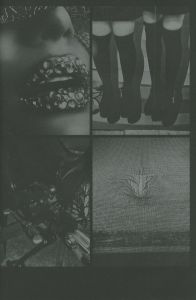 「DAIDO TOKYO / Daido Moriyama」画像10