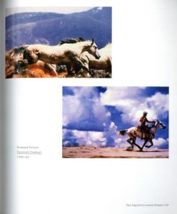 「The Nature of Photographs By Stephen Shore / Stephen Shore」画像5
