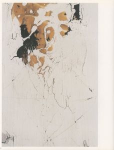 「Cave / Author: Jun Tsunoda　Photo: Katsumi Omori, Anders Edstrom」画像7