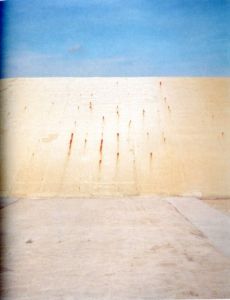 「MIMOCA’S EYE VOL. 1 ：野口里佳展　[予感] / 写真：野口里佳　編：丸亀市猪熊弦一郎現代美術館」画像6