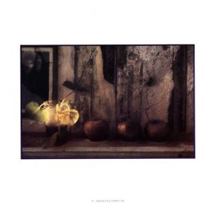 「サラ・ムーン展 / サラ・ムーン」画像6