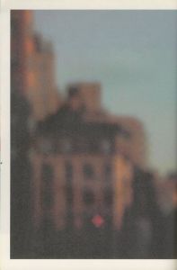 「FOIL vol.7　特集 アメリカ / 特集：テリー・リチャードソン、坂本龍一、大森克己、間部百合」画像5
