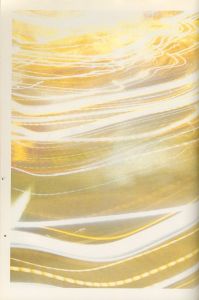 「FOIL vol.7　特集 アメリカ / 特集：テリー・リチャードソン、坂本龍一、大森克己、間部百合」画像7