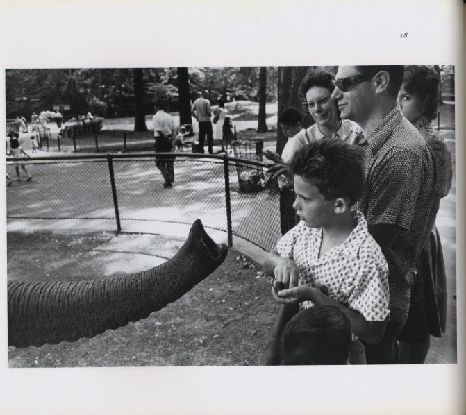 The Animals / Photo: Garry Winogrand Afterword: John Szarkowski