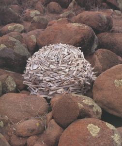 「STONE / Andy Goldsworthy」画像6