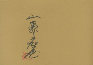 「山口晃 作品集 / 山口晃」画像2