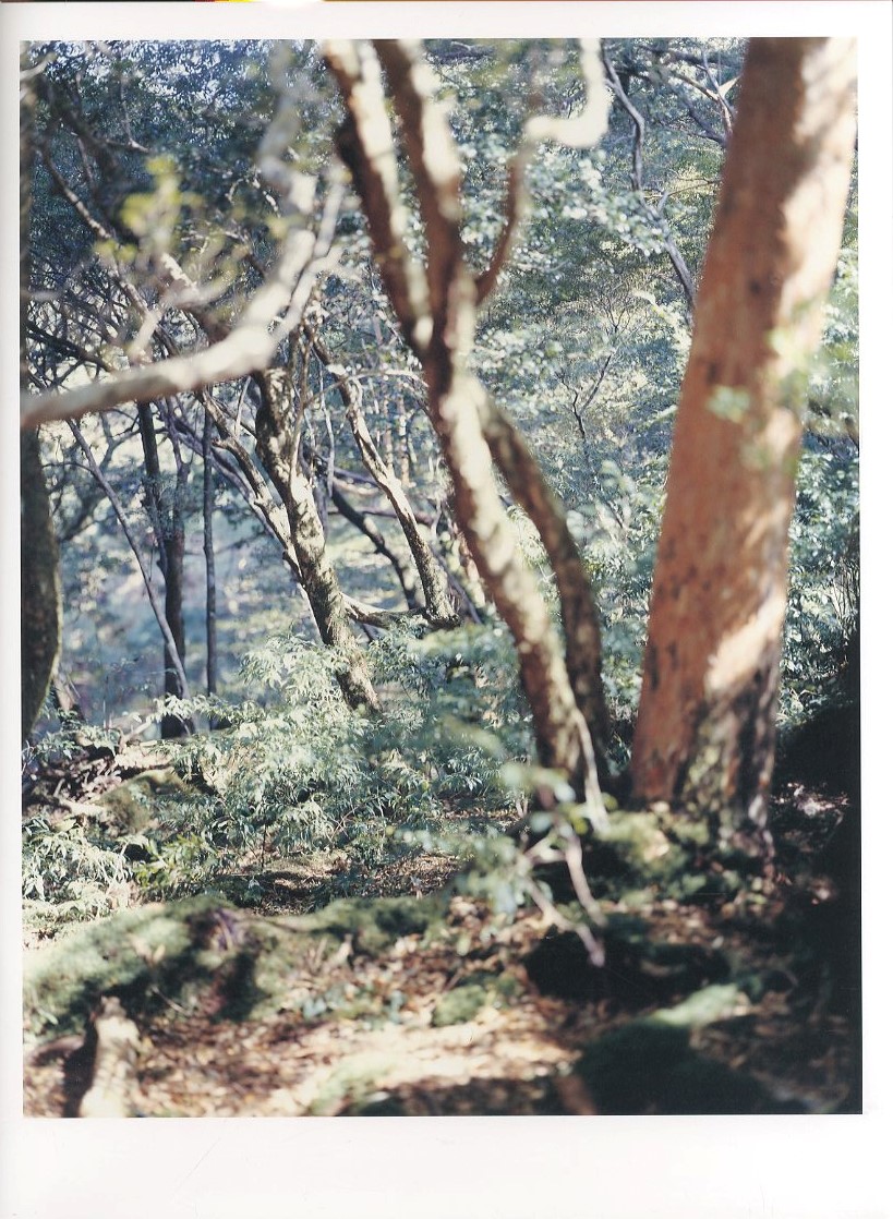 Materia Yoshihiko Ueda / 著：上田義彦 グラフィックデザイン