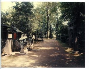 「TORII / 鈴木理策」画像6