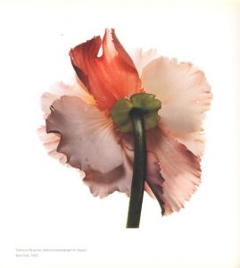 「STILL LIFE　Irving Penn Photographs 1938-2000 / Author: Irving Penn　Foreword: John Szarkowski」画像7