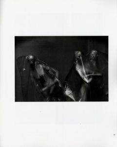 「Andre Kertesz: New York State of Mind / Photo: Andre Kertesz　Text: Robert Gurbo」画像3