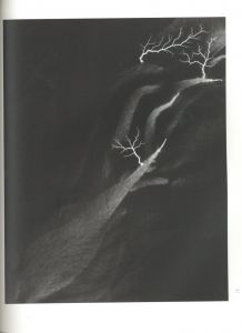 「光の自然 / 杉本博司」画像3