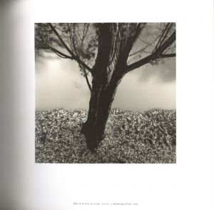 「A TWENTY YEAR RETROSPECTIVE / Michael Kenna」画像1