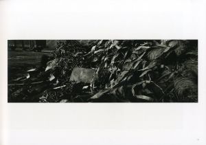 「chaos / Josef Koudelka」画像6