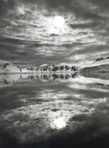 「GENESIS / Sebastião Salgado」画像3