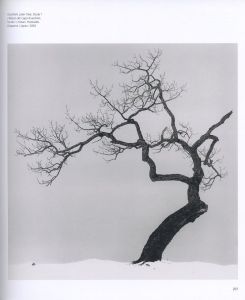 「Images of the Seventh Day / Michael Kenna」画像9