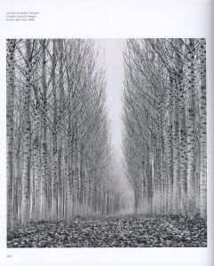 「Images of the Seventh Day / Michael Kenna」画像10