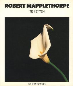 TEN BY TEN／ロバート・メイプルソープ（TEN BY TEN／Robert Mapplethorpe)のサムネール