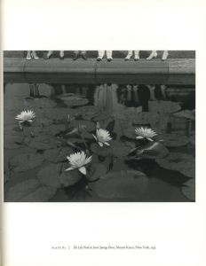 「Steichen's Legacy　Photographs, 1895-1973 / Edward Steichen 　Edit, Text: Joanna Steichen」画像6