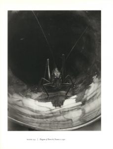 「Steichen's Legacy　Photographs, 1895-1973 / Edward Steichen 　Edit, Text: Joanna Steichen」画像12