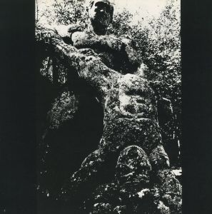 「聖なる世界 / 著：川田喜久治　文：澁澤龍彦」画像5