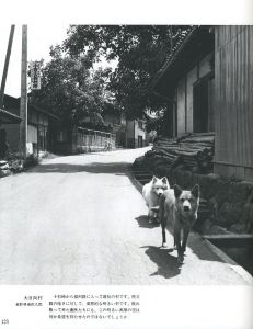 「秩父悲歌　秩父事件の心と風土 / 著：清水武甲」画像6