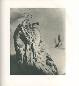 「BIRDS / Jim Dine」画像1
