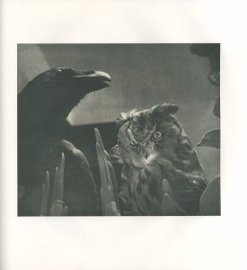「BIRDS / Jim Dine」画像4