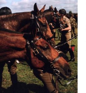 「Ceremony / Alasdair McLellan 」画像8