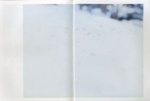 「Libertin DUNE First Issue 2011【SOMEWHERE/JAPAN THE BEAUTIFUL AND MYSELF】 / Edit: Fumihiro Hayashi」画像3