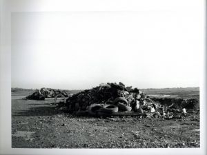 「CANDLESTICK POINT / Author: Lewis Baltz　」画像1