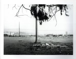 「CANDLESTICK POINT / Author: Lewis Baltz　」画像3