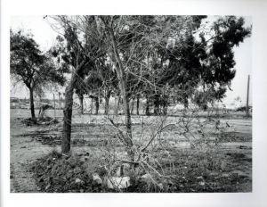 「CANDLESTICK POINT / Author: Lewis Baltz　」画像5