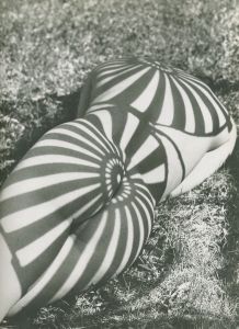「HERB RITTS PICTURES / Herb Ritts」画像4
